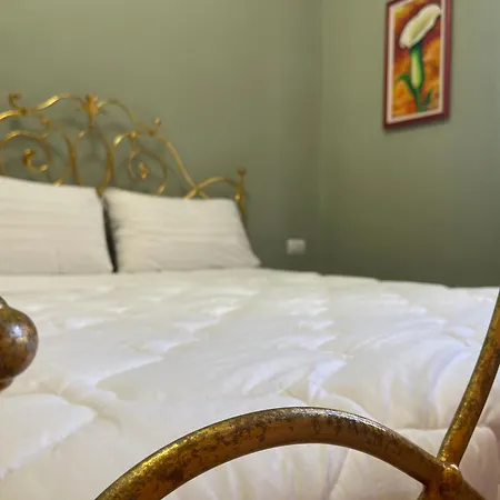 15 - Center Hotel 4*